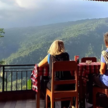 Aris Homestay And Warung Made Munduk Zewnętrze zdjęcie