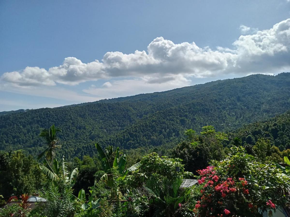 Aris Homestay And Warung Made Munduk Zewnętrze zdjęcie