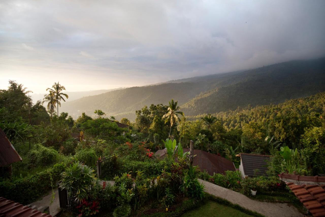 Aris Homestay And Warung Made Munduk Zewnętrze zdjęcie